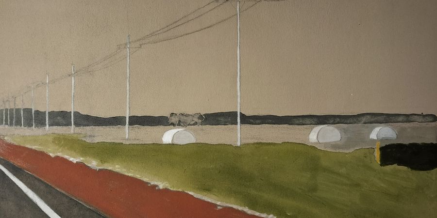 image - Solotentoonstelling Jan Demeulemeester | My Americas
