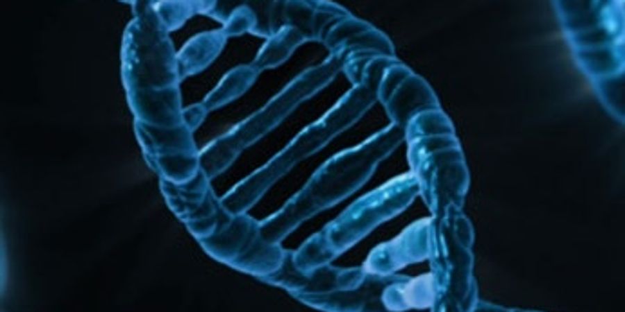 image - L’ADN forensique au-delà des apparences