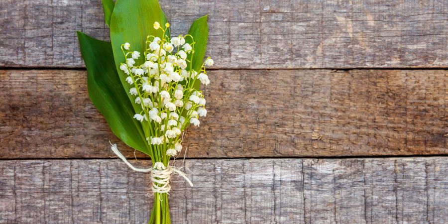 Que faire le 1er mai ?