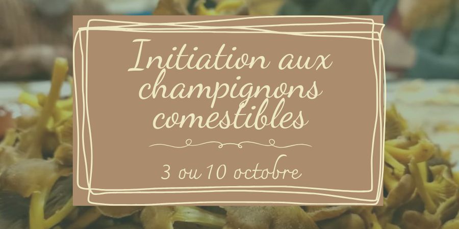 image - Formation - initiation aux champignons comestibles