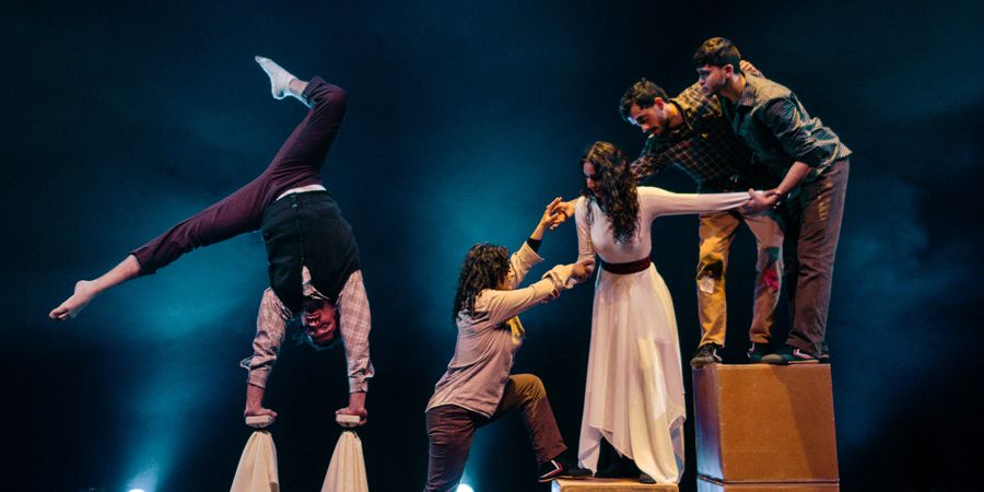 image - Palestinian Circus School (14+) | SARAB