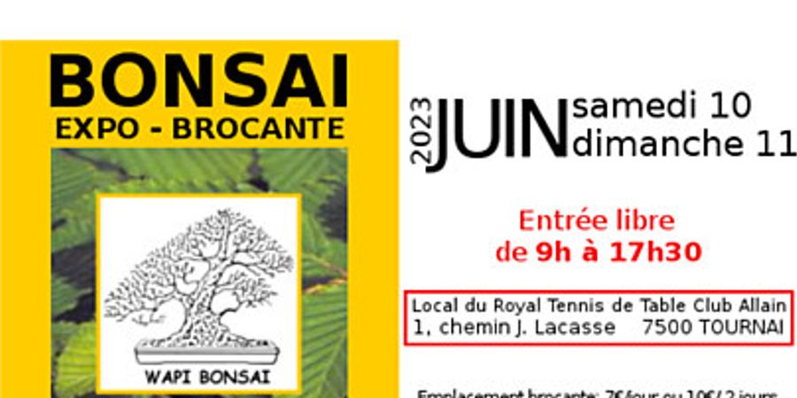 image - Brocante bonsai