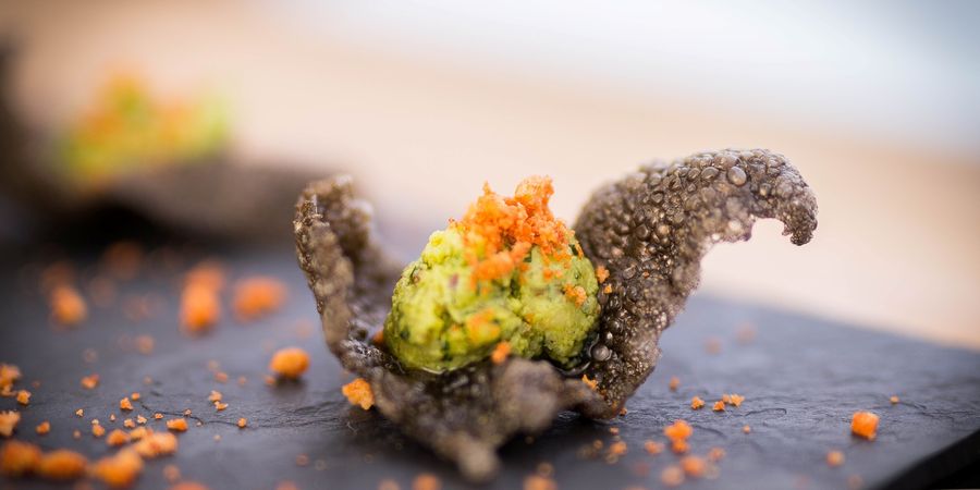 image - Atelier cuisine sauvage 