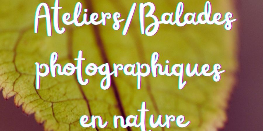 image - Balade photo en nature
