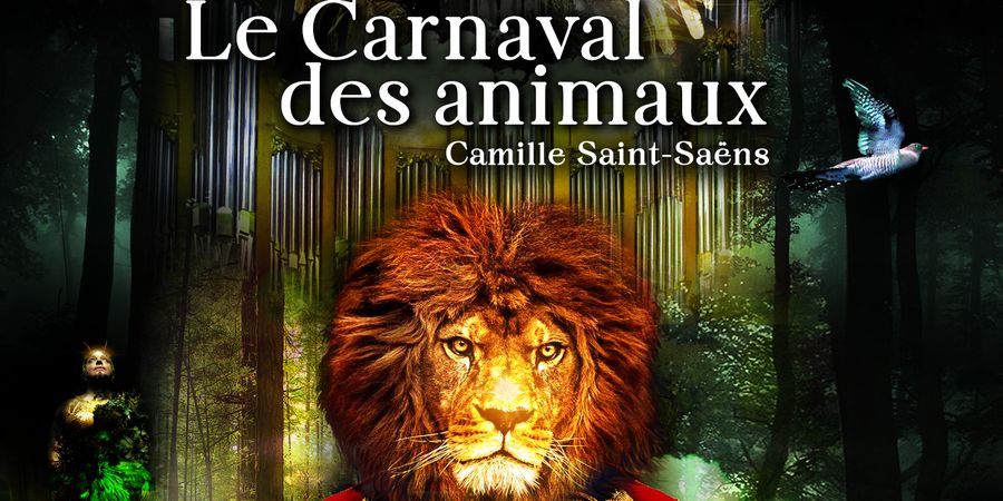 image - Le Carnaval des Animaux au Palais des Beaux-Arts de Charleroi (PBA)