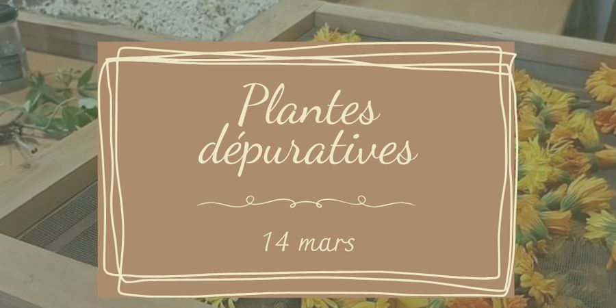 image - Formation - plantes dépuratives