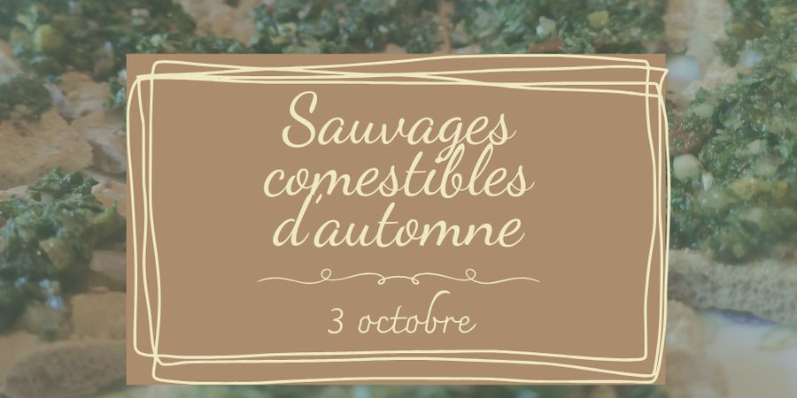 image - Formation - sauvages comestibles d'automne