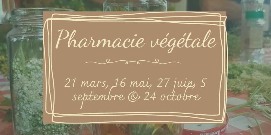 image - Formation - pharmacie végétale