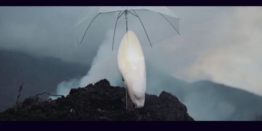 image - Grégoire Motte - De Nacht van Witloof