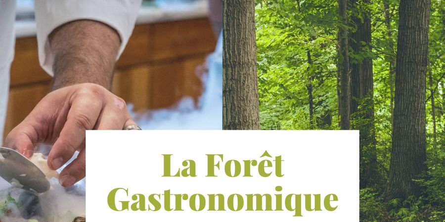 image - Stage ‘La Forêt gastronomique’