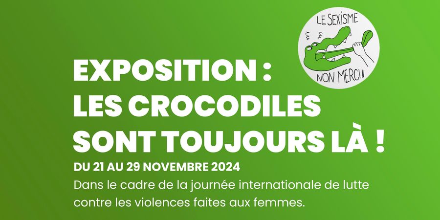 image - Les crocodiles sont toujours là !