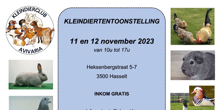 image - Kleindiertentoonstelling van pluim - en pelsdieren