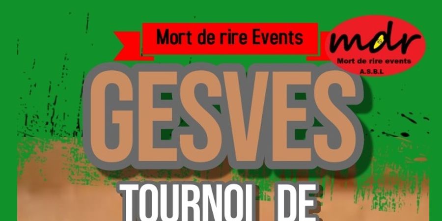 image - La Gesvoise-Tournoi de pétanque en doublette formée