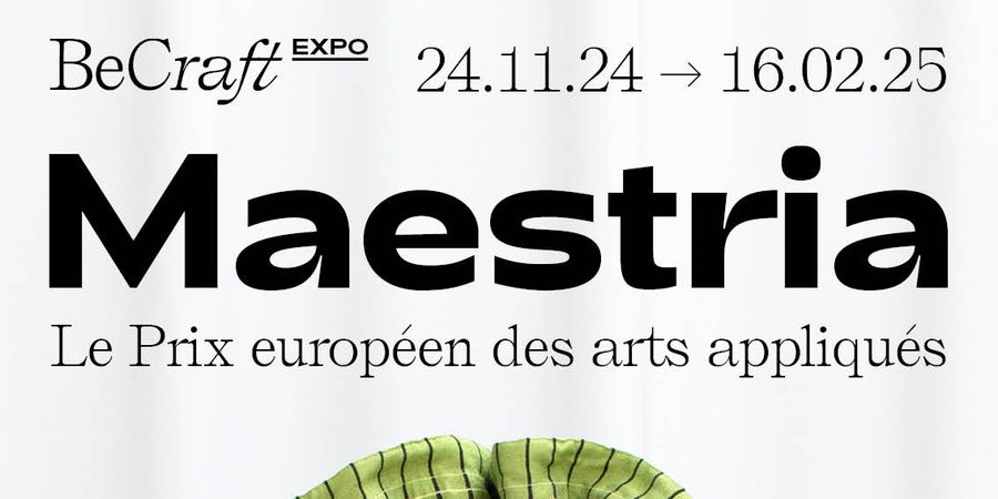 image - Maestria, le Prix européen des arts appliqués