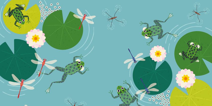 image - Stage | Le printemps : quand la nature se réveille