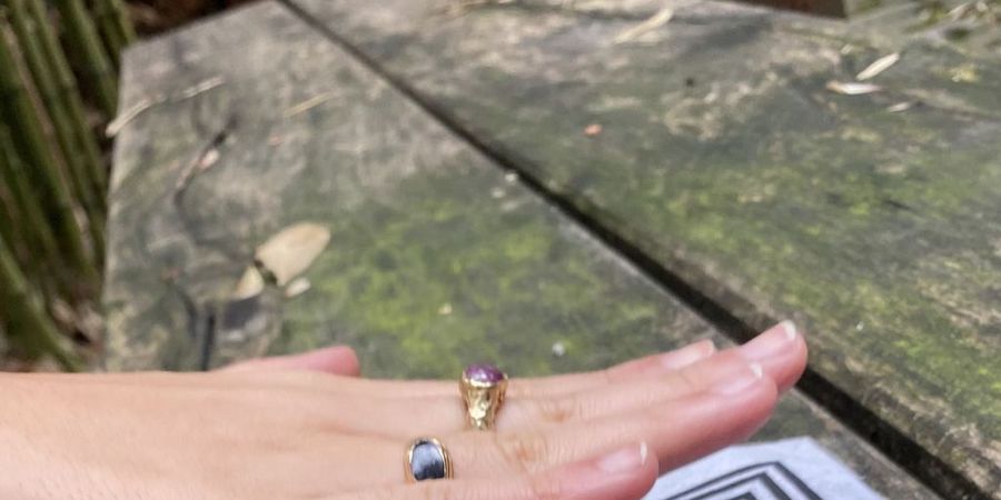 image - Boutons
