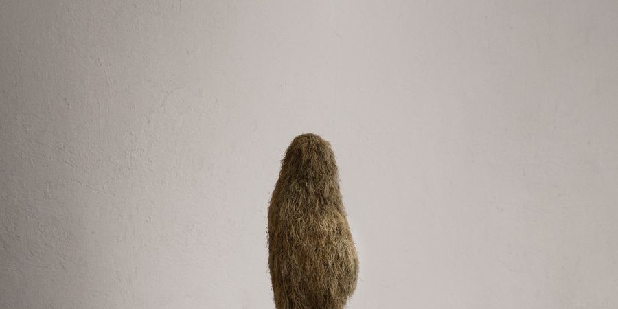 image - Quiet Encounters