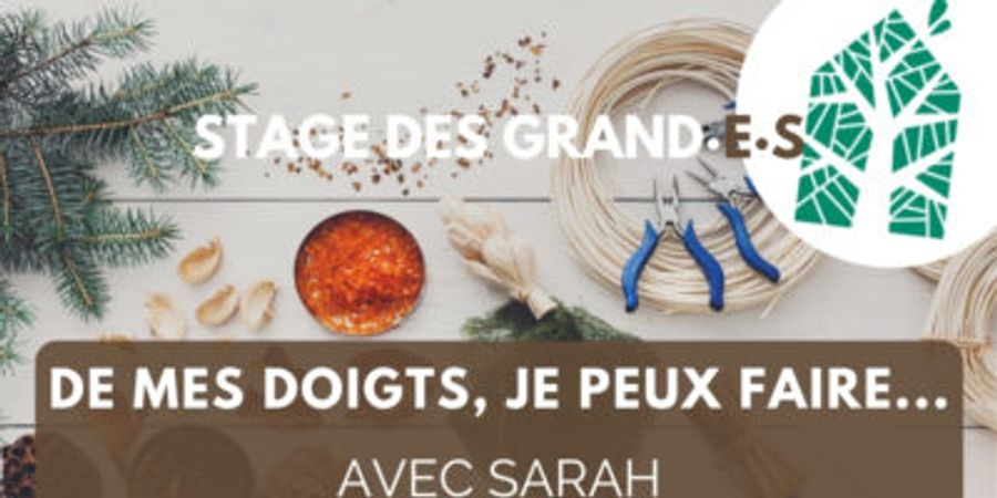 image - Stage pour les grand·e·s 