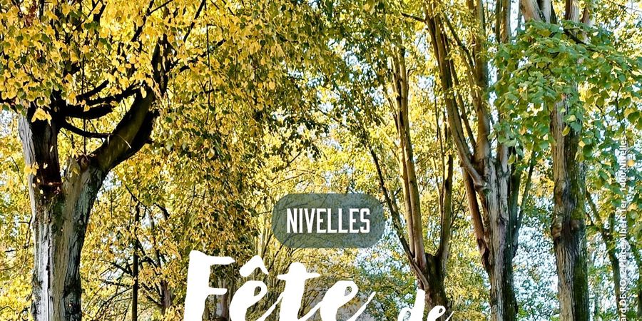 image - Semaine de l'arbre - distribution de plants gratuits