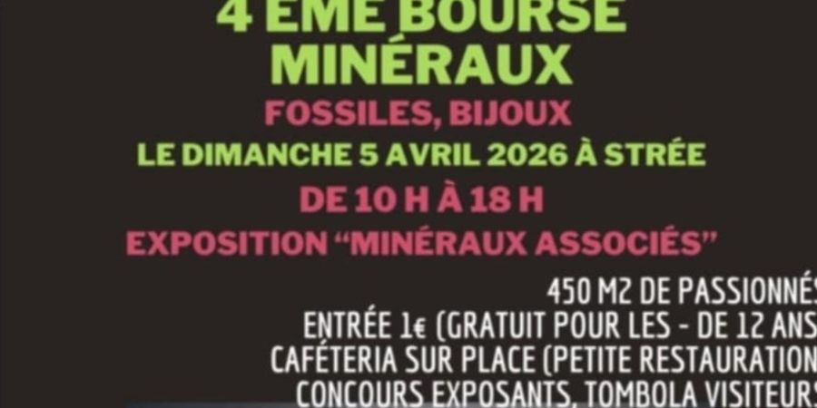 image - Bourse aux minéraux bijoux et fossiles 