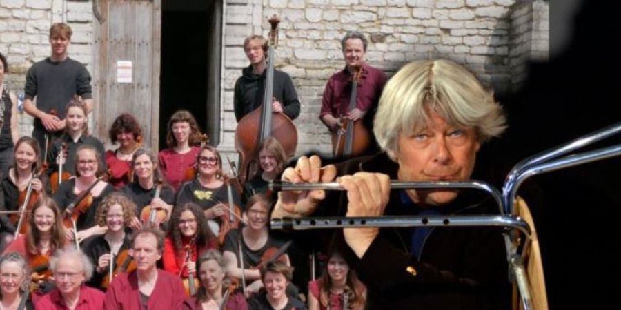 image - Lutherie sauvage au pays des cordes...