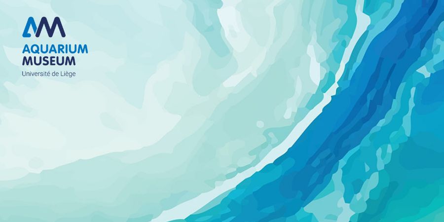 image - Contes au fil de l’eau douce