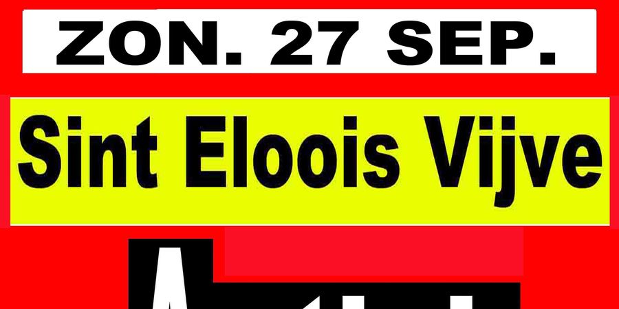 image - Antiek & Rommelmarkt te Sint-Eloois-Vijve