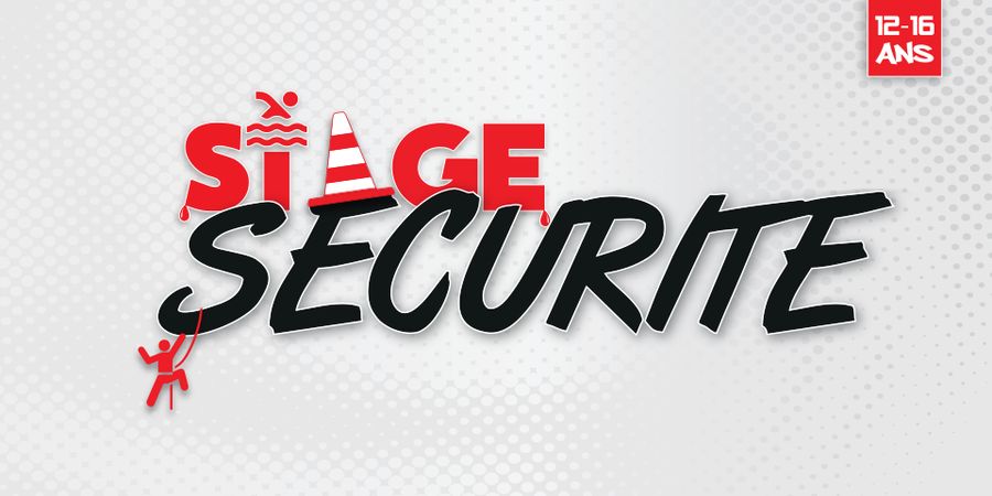 image - Stage Sécurité