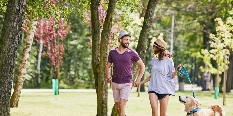 Wandelen in een park? Ja, graag! Maar waar?