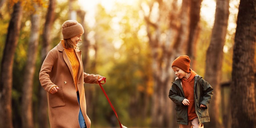 Les plus belles promenades d'automne