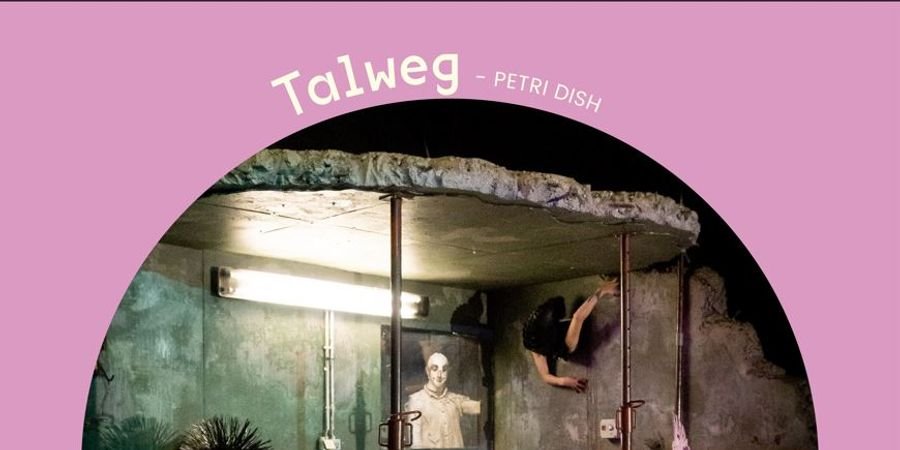 image - Talweg - Petri Dish