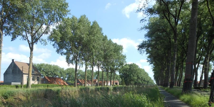 image - Chemins de Flandre