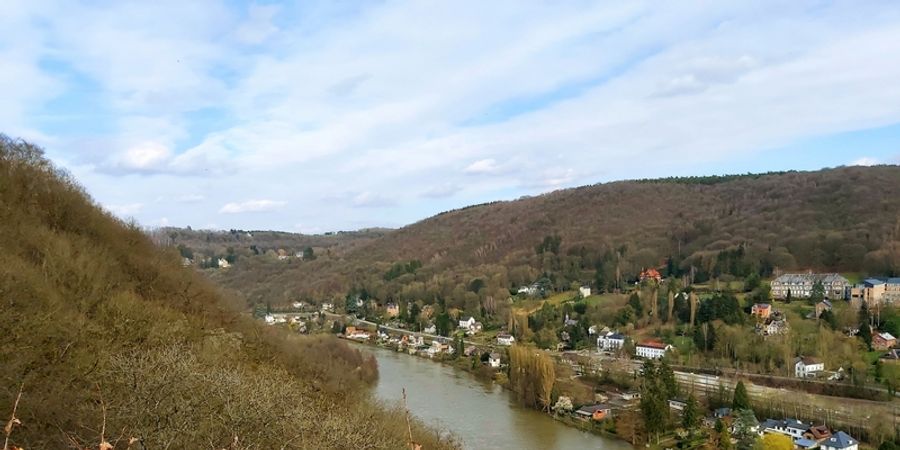 image - Escapade à Profondeville, à la recherche de traces animales