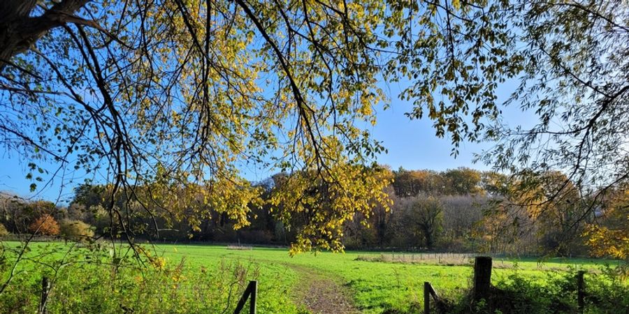 image - Vignoble, bois, parc et forêt