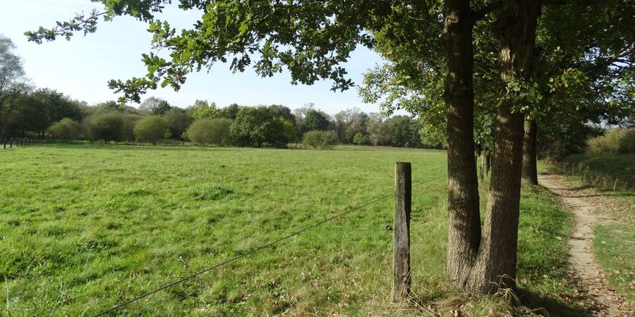 image - Le Doode Bemde, écrin de verdure au fil de l'eau