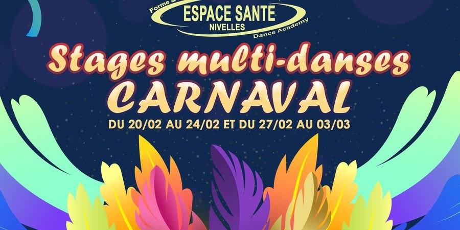 image - Stages multi danses de Carnaval