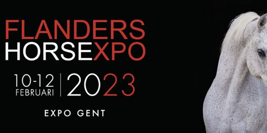 image - Flanders Horse Expo 2023