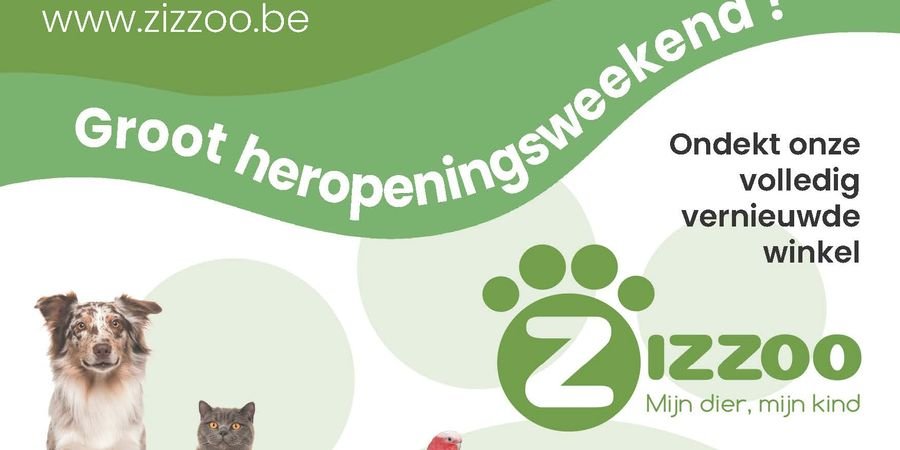 image - Week-end de réouverture de la boutique d'animaux Zizzoo