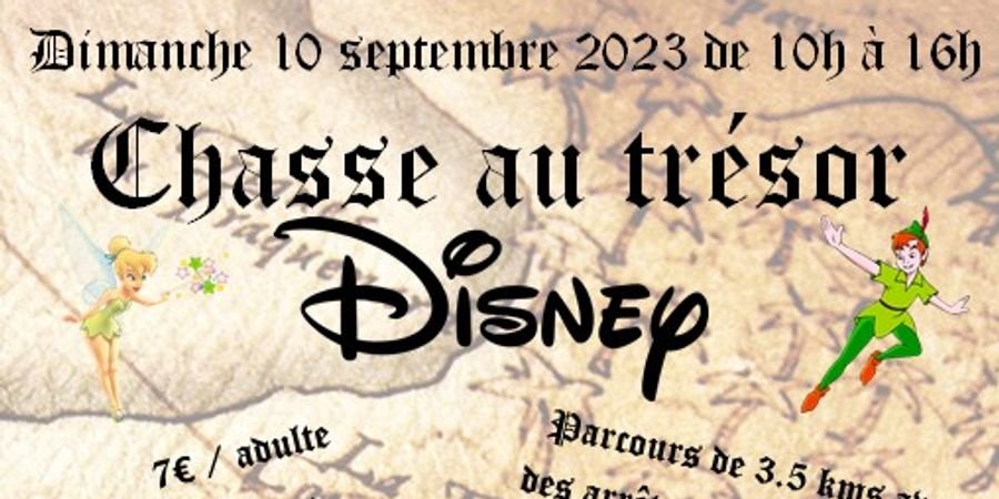 image - 2ème Chasse au trésor Disney
