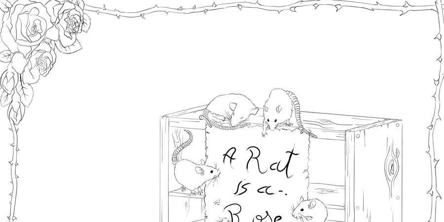 image - A Rat is a Rose - Hugo Dinër