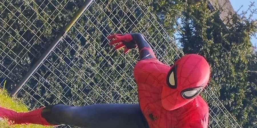 image - Spider-man op je feestje