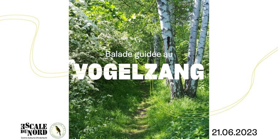 image - Visite de la réserve naturelle du Vogelzang