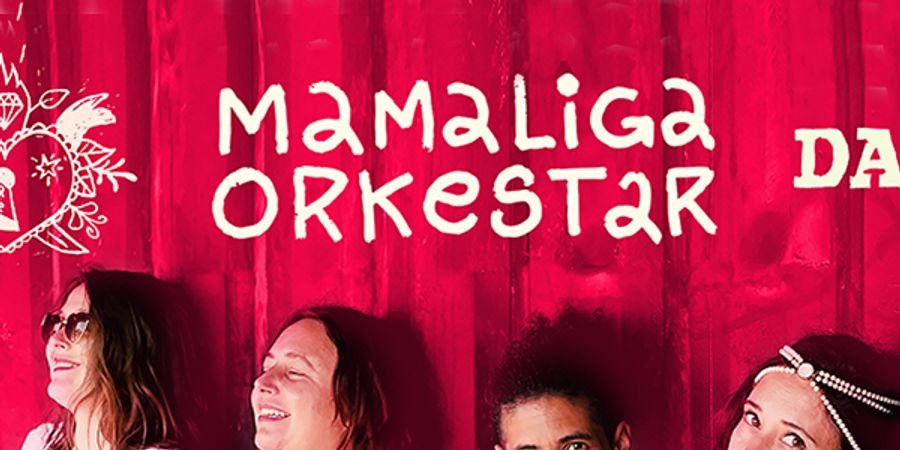 image - Mamaliga Orkestar