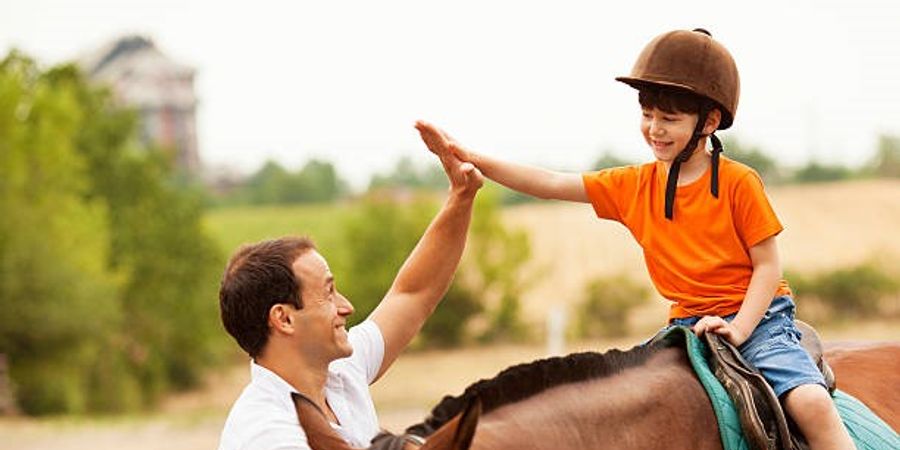 image - Stage intergénérationnel et inclusif