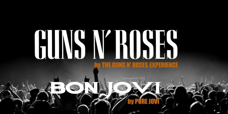 image - The Guns N Roses Experience