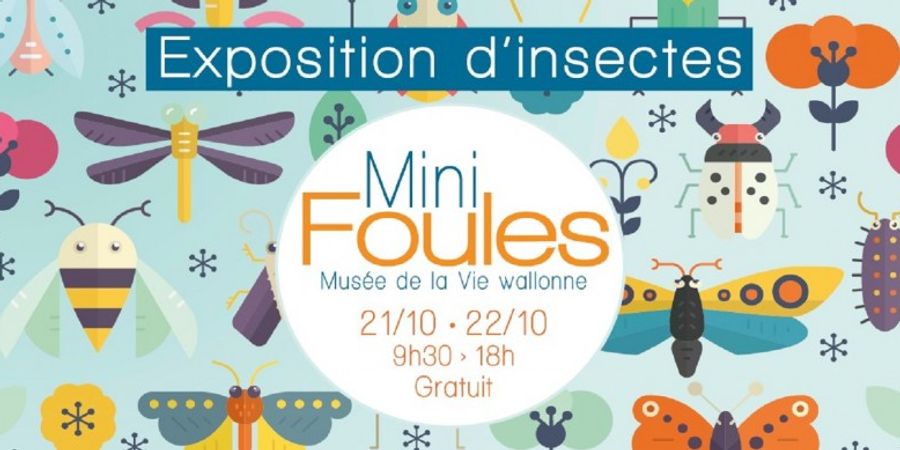 image - Mini Foules - Exposition d'insectes