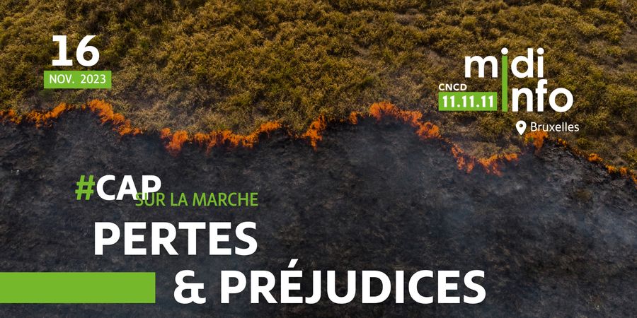 image - Midi info: Pertes et préjudices