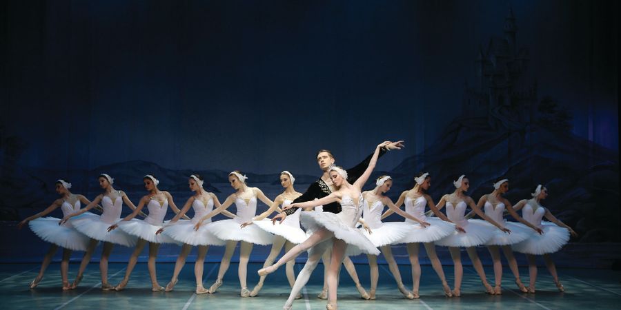 image - Swan Lake