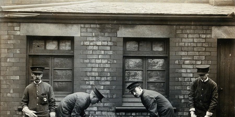 image - LEZING: NAAR EEN DUURZAAM BEHEER VAN HET RATTENBESTAND IN DE STAD