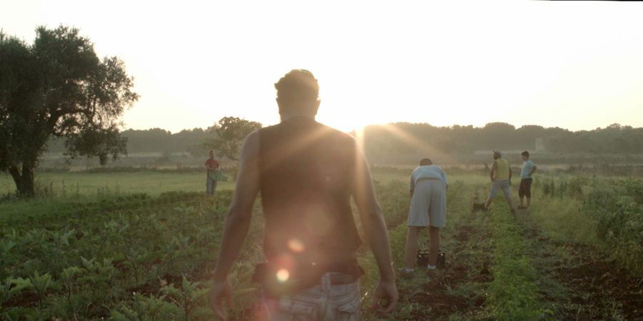 image - A travers champs : La Restanza (documentaire)